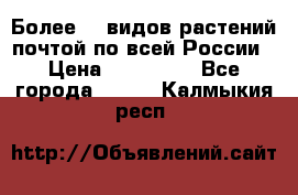 Более200 видов растений почтой по всей России › Цена ­ 100-500 - Все города  »    . Калмыкия респ.